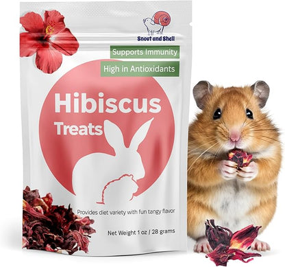 Snout and Shell Hibiscus Treats – 100% Natural Dried Flowers for Small Pets – Immunity Support &amp; Antioxidants – Healthy Snack for Rabbits, Guinea Pigs, &amp; Chinchillas (1 oz)