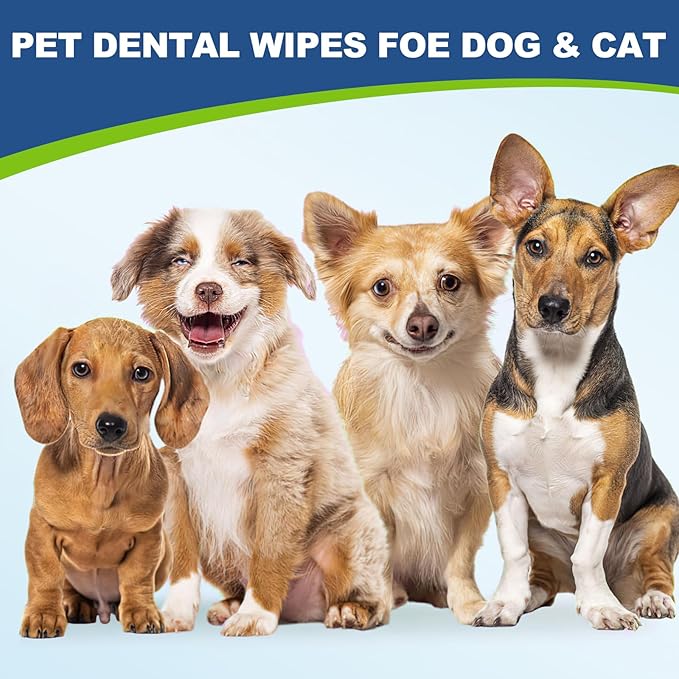 Dog Dental Care Finger Wipes, 60 PCS Teeth Cleaning Wipes for Dogs &amp; Cats, Tooth Brushing Kit Dental Wipes Reduces Plaque &amp; Freshens Breath, Disposable Gentle Cleaning &amp; Gum Care Pet Wipe