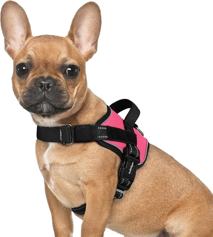 rabbitgoo Dog Harness for Small, Easy On Pet Vest with One Buckle, No Pull Adjustable Service Harness with D-Ring &amp; Handle, Reflective for Safety Walking, Training, Pink, S