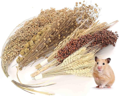 Hamster Spray Set - Natural Snack Grains &amp; Chew Toys for Cage Decoration Accessories, Soft Bedding for Dwarf Syrian Hamsters, Gerbils, Mice &amp; Small Pets