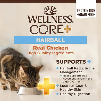 Wellness CORE+ Hairball Adult Dry Cat Food for Indoor &amp; Outdoor Cats, Grain Free, Natural, Chicken and Chicken Meal (4.75 Pound Bag)