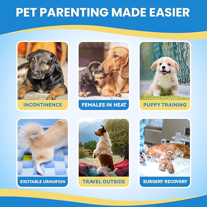 IMMCUTE Female Dog Diapers 30 Count,Super Absorbent Disposable Dog Diapers Female with Flash Dry &amp; Leakproof, Doggie Diapers for Heat Cycle,Excitable Urination (X-Small)