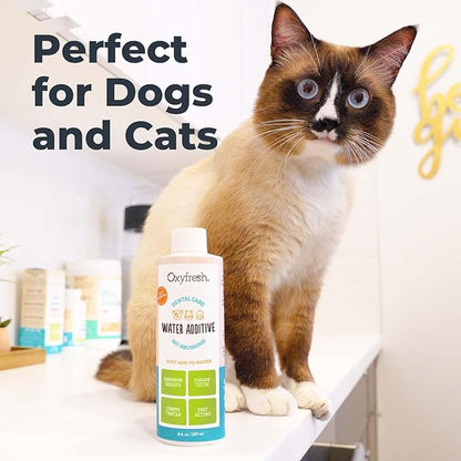 Oxyfresh Premium Pet Dental Care Solution Pet Water Additive: Best Way to Eliminate Bad Dog Breath and Cat Bad Breath - Fights Tartar &amp; Plaque - So Easy, Just Add to Water! Vet Recommended 16 oz.