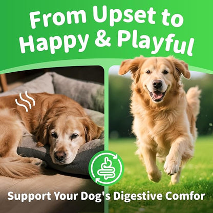 Premium Dog Digestive Enzymes and Probiotics with Pumpkin for Gut Health Support - Daily Chews for Digestion &amp; Gas Relief - Chicken Flavor-90 Count
