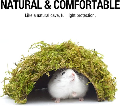 Hamster Hideout - Large, Natural Moss, Handcrafted for Syrian Hamsters, Rats &amp; Guinea Pigs, Safe &amp; Eco-Friendly