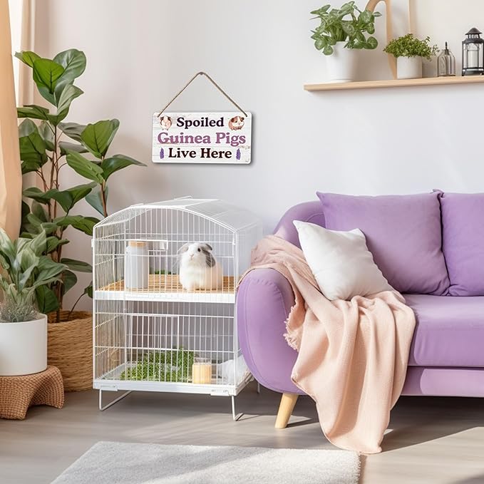 Big Hamster Ball &amp; Guinea Pig Hideout - Stuffed Animals &amp; Accessories for Guinea Pig Cage - 12x6 In Wooden Sign