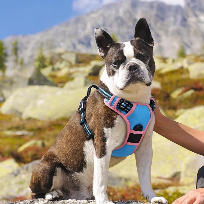 Eagloo Dog Harness for Large Dogs, No Pull Service Vest with Reflective Strips and Control Handle, Adjustable and Comfortable for Walking, No Choke Harness with 2 Metal Rings, Pink &amp; Blue, M