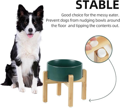 Ceramic Elevated Dog Bowl Set, Food and Water Bowl for Medium Dogs, Weighted Dishes, Green (7.3&