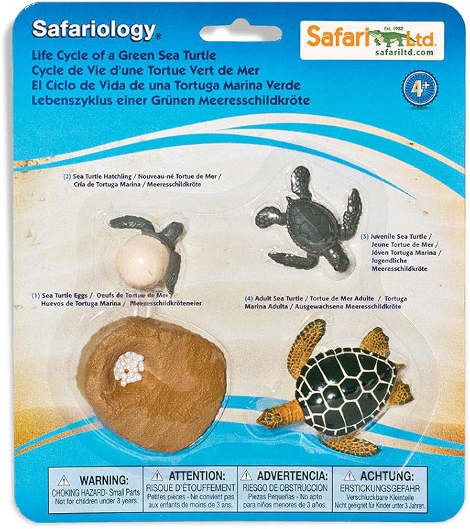 Safari Ltd. Life Cycle of a Green Sea Turtle - Educational Toy Figurines - Miniature Turtle Lifecycle Collection for Boys, Girls &amp; Kids Age 4+