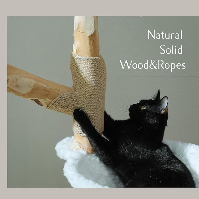 PAWZ Road Cat Tree for Indoor Cats Large Adults, 59 Inches Modern Cat Tower with Large Basket and Hammock, Natural Solid Wood, Luxury Condo &amp; Dual Perches, Modern Cat Furniture for Big Cats, White
