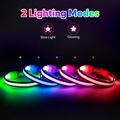 Flashseen LED Cat Collar,Light Up Dog Collar Rechargeable, Dog Lights for Night Walking, Comfortable Soft Mesh Pet Collar Adjustable for Cats Puppy and Small Dogs(Neon Green, XS)