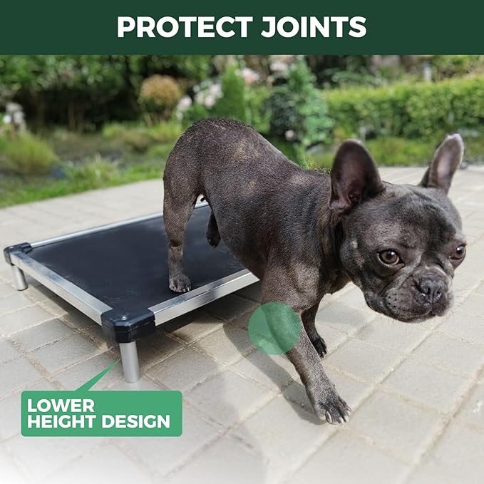 FXW TitanNest Chew-Proof Elevated Dog Bed, Raised Cot for Indoor/Outdoor/Camping Use, Durable &amp; Waterproof Cooling Pet Bed for Toy Dogs, 23.0" L x 17.0" W x 4.5" H, Black
