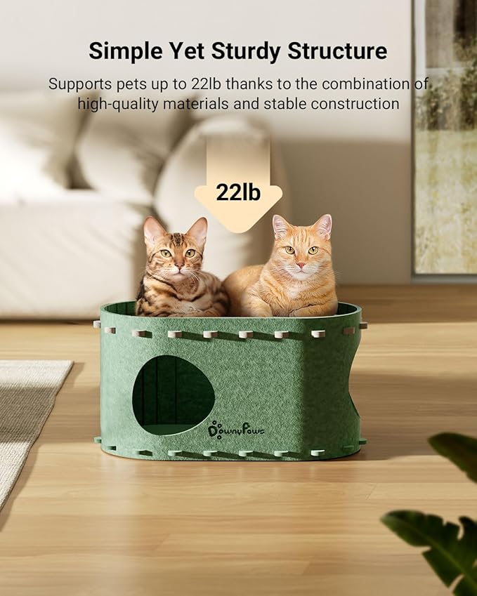 DownyPaws Cat House for Indoor Cats, Cat Bed Cave for Multiple &amp; Large Cats Up to 22 Lbs, Scratch Resistant Peekaboo Cat Caves, Foldable Tunnel Enclosed Bed, PeekaPurr, Forest