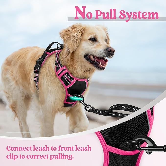 rabbitgoo Dog Harness No Pull with 2 Leash Clips, Adjustable Soft Padded, Reflective Oxford No Choke Pet Vest with Easy Control Handle for Large Dogs, Black &amp; Hot Pink, XL