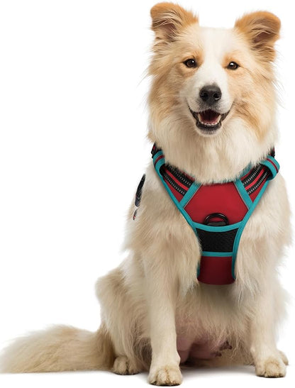 rabbitgoo Dog Harness No Pull with 2 Leash Clips, Adjustable Soft Padded, Reflective Oxford No Choke Pet Vest with Easy Control Handle for Medium Sized Dogs, Red &amp; Teal, M