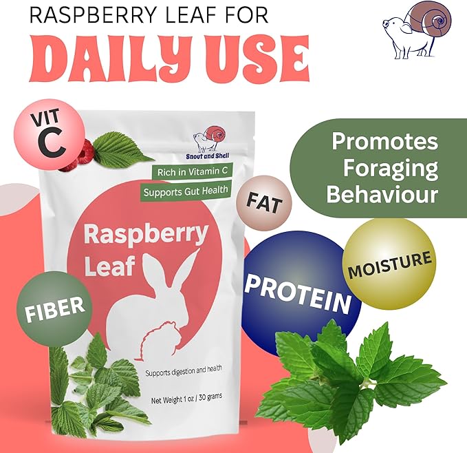 Snout and Shell Raspberry Leaf for Small Pets – 100% Natural Treat for Rabbits, Guinea Pigs, Hamsters &amp; More – Rich in Vitamin C &amp; Supports Gut Health – 1 oz (30g)