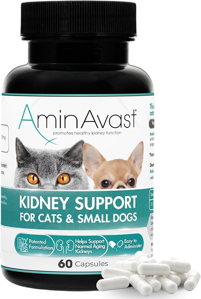 AminAvast Small Dogs &amp; Cat Kidney Support - Promotes Healthy Kidney Support in Cats &amp; Small Dogs - 300mg, 60 Capsule