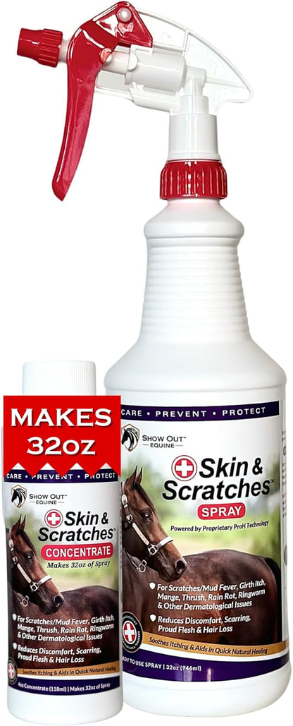 Show Out Skin &amp; Scratches 4 oz Concentrate - Fast Relief and Prevention for Horse Care. Use on Equine Scratches/Mud Fever, Girth Itch, Mange, Thrush, Rain Rot, Ringworm, etc w/Empty Spray Bottle