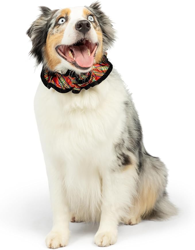 Huxley &amp; Kent Ruff Pet Scrunchy | Shiny Christmas Plaid (Medium) | Festive Christmas/Holiday Neckwear for Dogs/Cats | Fun Stretchable Costume Accessory | Soft Collar with Bells