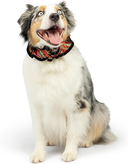 Huxley &amp; Kent Ruff Pet Scrunchy | Shiny Christmas Plaid (Medium) | Festive Christmas/Holiday Neckwear for Dogs/Cats | Fun Stretchable Costume Accessory | Soft Collar with Bells