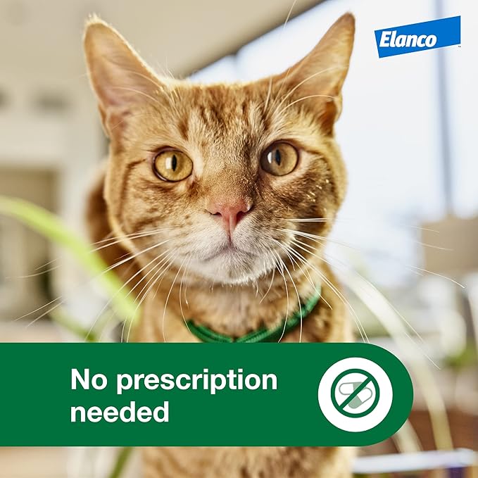 Advantage XD Large Cat Flea Prevention &amp; Treatment For Cats over 9lbs. | 2-Topical Doses, 2-Months of Protection Per Dose
