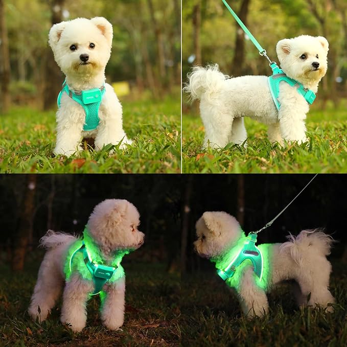 Light Up Dog Harness,Rechargeable LED Dog Harness for Small Medium Large Dogs,Reflective Lighted Safety Vest for Night Walking &amp; Camping,Lightweight &amp; Adjustable,Light Green,M