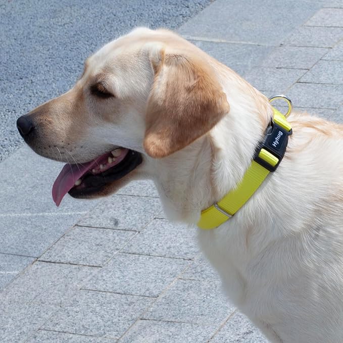 Hyhug Small Dog Collar Quick-Release Yellow| Heavy-Duty Nylon Puppy Collar, Adjustable &amp; Durable Pet Supplies for Boy &amp; Girl Dogs (Small, Illuminating Yellow)