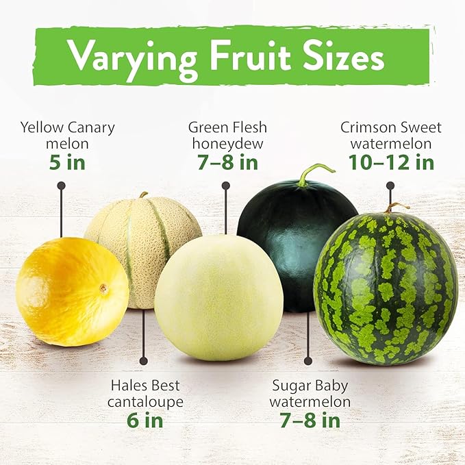 HOME GROWN 𝗨𝗦𝗔 𝗣𝗥𝗘𝗠𝗜𝗨𝗠 Melon Seeds Variety Pack 5 𝗡𝗢𝗡-𝗚𝗠𝗢 Heirloom Vegetable Seeds, Watermelon Cantaloupe Honeydew Sugar Baby &amp; Melon, High Germination for Planting Home Garden Indoors