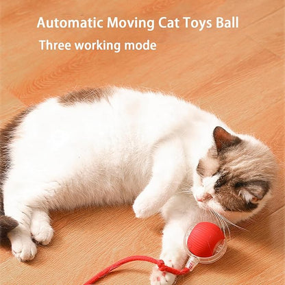 Interactive Cat Toy Ball for Indoor Cats - 3-Speed Smart Rolling Ball with Flashing Lights, USB Rechargeable Automatic Motion Kitten Toys for Bored Adult Cats &amp; Playful Kittens