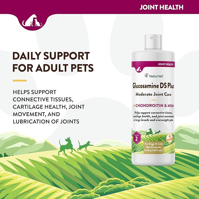 NaturVet Glucosamine DS Plus Hip &amp; Joint Support Liquid Pet Supplement – Level 2 Moderate Care for Dogs &amp; Cats – Includes Glucosamine, MSM, Chondroitin – 16 Oz