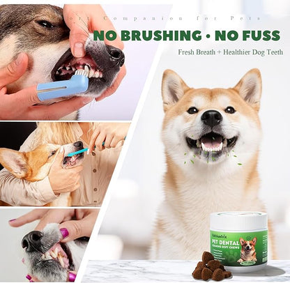 Dog Dental Care Powder - Plaque &amp; Tartar Control with Natural Enzymes, Teeth Cleaning Powder for Dogs with Probiotic, Bad Breath Treatment for Small Medium Large Dogs