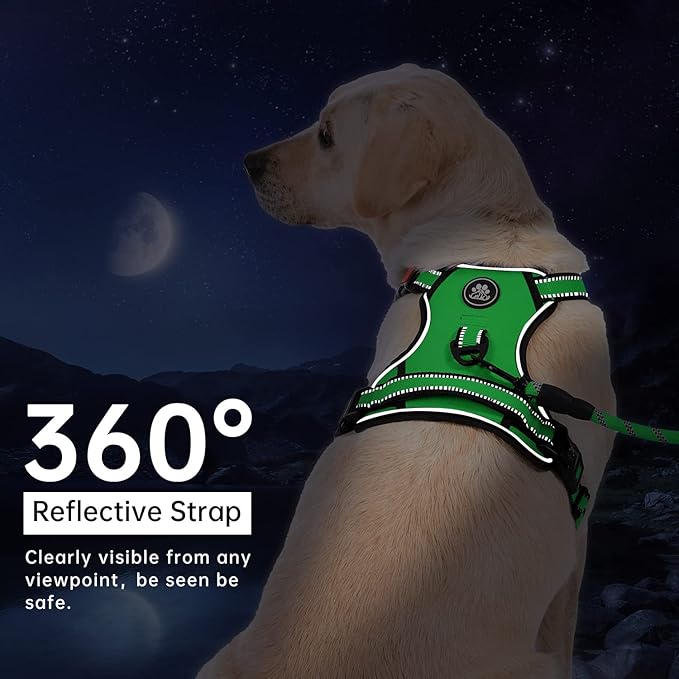 IVY&amp;LANE No Pull Dog Harness for Large Dogs, Dog Vest Harness with Leash, Safety Belt and Storage Strap, Fully Adjustable Harness, 360° Reflective Strip, Soft Handle (Green, XL)