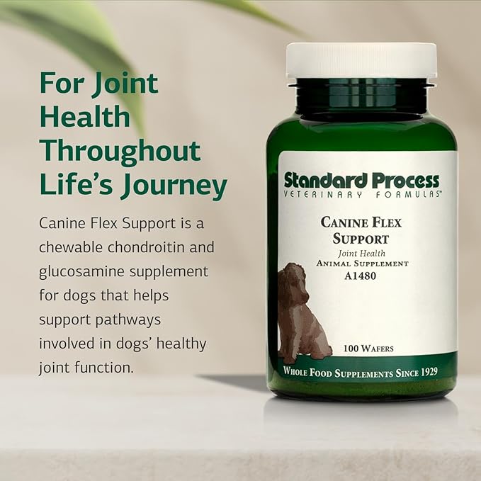 Standard Process Inc. Canine Flex Support - Joint &amp; Immune Health Supplement for Dogs - Chewable Wafers for Healthy Joint Function Support - Nutritional Whole-Food Based Supplement - 100 wafers