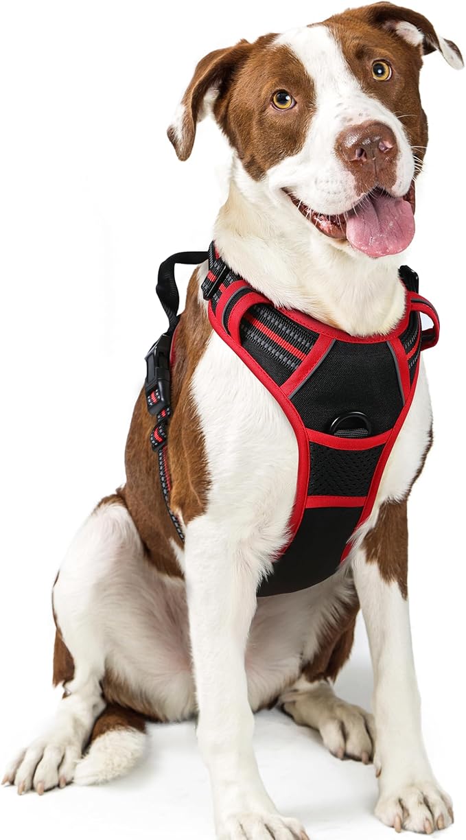 rabbitgoo Dog Harness No Pull with 2 Leash Clips, Adjustable Soft Padded, Reflective Oxford No Choke Pet Vest with Easy Control Handle for Large Dogs, Black &amp; Red, L