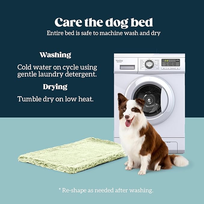 Stoutwool Indestructible Dog Bed - Fluffy Chew Proof Dog Crate Pad - Tough Kennel Pad for Aggressive Chewers - Washable, Ideal for Small Breeds &amp; Fits 24-Inch Crate - 23"x16", Gleam