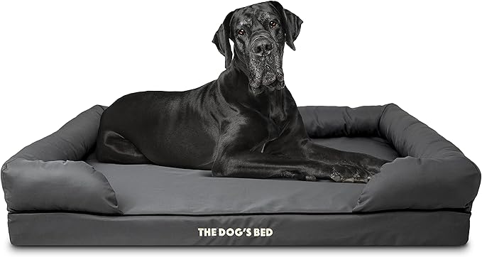 The Dog’s Bed, Dog Bed XXL Grey 51.5x39, Memory Foam, Pain Relief: Arthritis, Hip &amp; Elbow Dysplasia, Post Surgery, Lameness, Supportive, Calming, Waterproof Washable Cover, Veterinary Approved