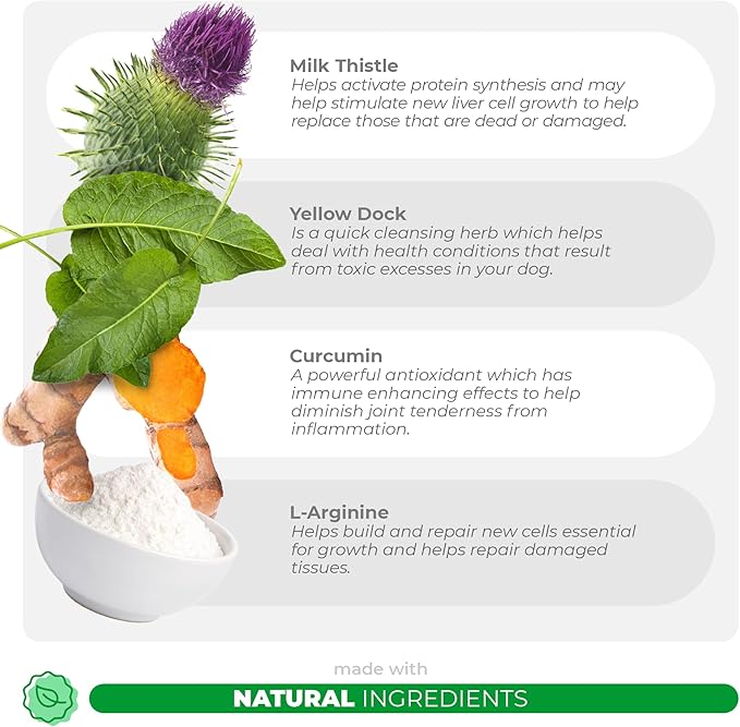 Milk Thistle for Dogs - 90 Soft Chews - Liver and Kidney Support - Hepatic Support with EPA &amp; DHA - Detox - Liver Supplement for Dogs with Choline and L-Arginine.