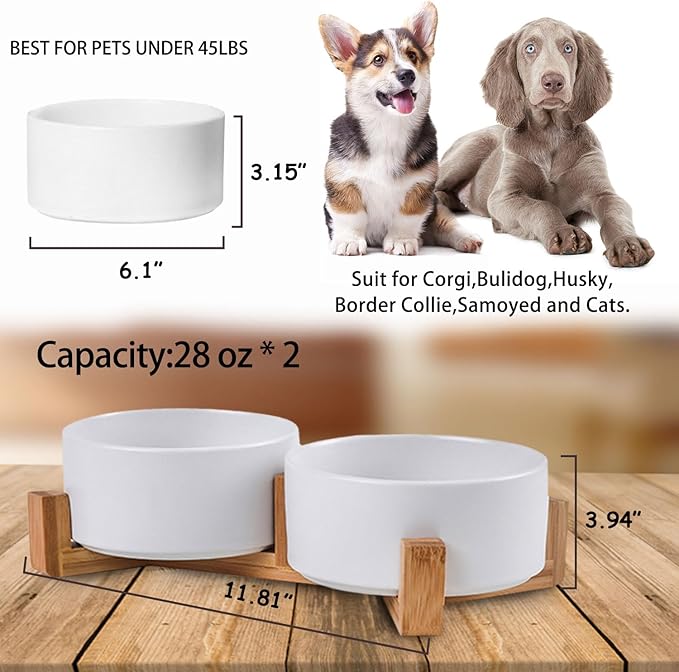 Petygooing Dog Bowls,White Ceramic Cat and Dog Bowl Set with Wood Stand for Food and Water, Non-Slip Cute Modern Pet Dish Set for Cats &amp; Medium Dogs (28OZ)