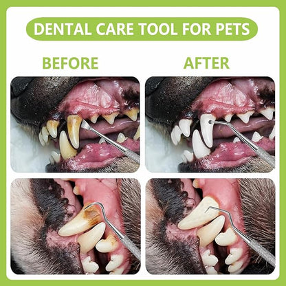 Dental Tools Pet Dog Teeth Cleaner Tool Kit, Stainless Steel Plaque Remover Dental Picks Tooth Tartar Scraper, Pets Oral Care Hygiene Set for Cats and Dogs Use with Case