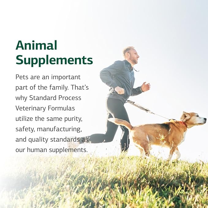 Standard Process Kitten Kit - Overall Health Kit for Feline Whole-Body Support - Feline Immune System Support Supplements - Wellness Supplements to Support Kitten Health &amp; Growth - Includes Catnip Toy