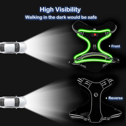 Rechargeable LED Dog Harness - No Pull, 4 Point Adjustable, Small/Medium/Large/X-Large Sizes