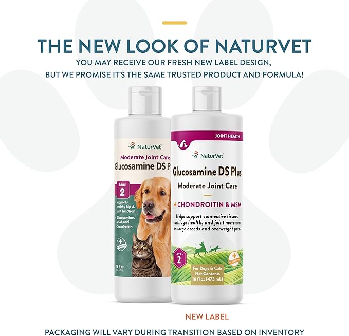 NaturVet Glucosamine DS Plus Hip &amp; Joint Support Liquid Pet Supplement – Level 2 Moderate Care for Dogs &amp; Cats – Includes Glucosamine, MSM, Chondroitin – 16 Oz