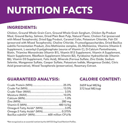 IAMS Advanced Health Skin &amp; Coat Adult Dry Dog Food Chicken and Salmon Recipe, 6 lb. Bag