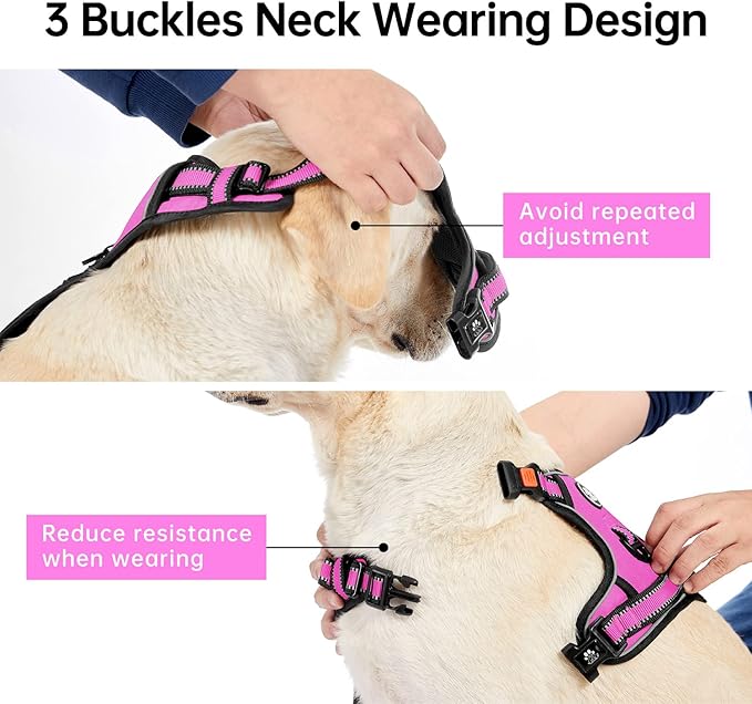 IVY&amp;LANE No Pull Dog Harness for Small Dogs, Dog Vest Harness with Leash, Safety Belt and Storage Strap, Fully Adjustable Harness, 360° Reflective Strip, Soft Handle (Fuchsia Pink,S)