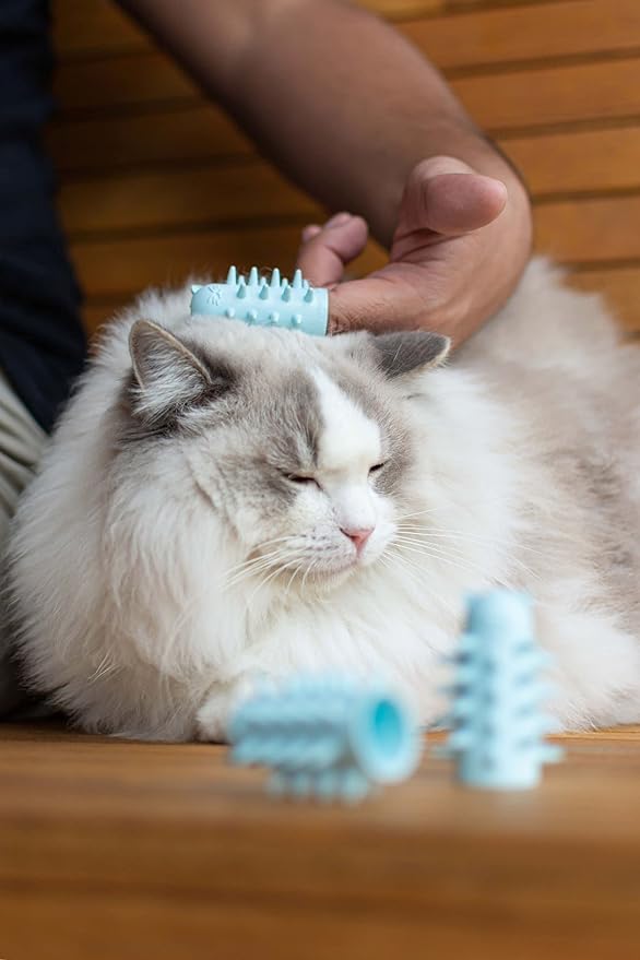 Furr&amp;Purr Cat Brush Set for Indoor Cats - Grooming Tools: Face Scratcher, Calming Massager, and Scratching Pad (2-Pack, Made in the USA)