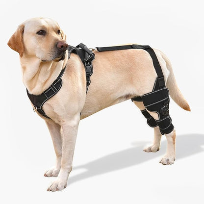 Dog Knee Brace with Adjustable Support – ACL &amp; CCL Tear Recovery, Post-Surgery Stabilization, Mobility Aid for Rear Legs – Includes Secure Chest Harness for Dogs(Both Legs,M)