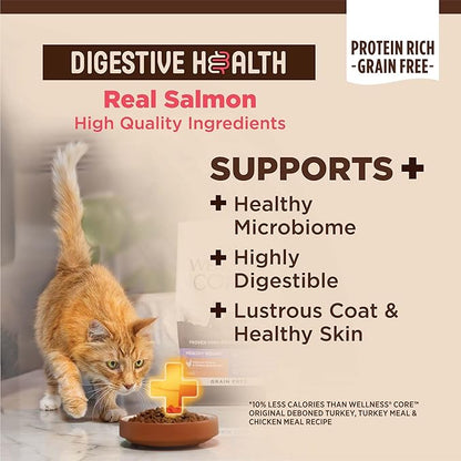 Wellness CORE+ Adult Dry Cat Food for Indoor and Outdoor Cats, Wholesome Grains, Natural, Digestive Health Salmon &amp; Rice (11 Pound Bag)