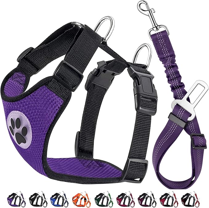 Lukovee Dog Seat Belt for Car, Adjustable Dog Car Harness for Large Medium Small Dogs, Soft Padded &amp; Breathable Mesh Dog Seatbelt with Car Vehicle Connector Strap (Purple,Large)