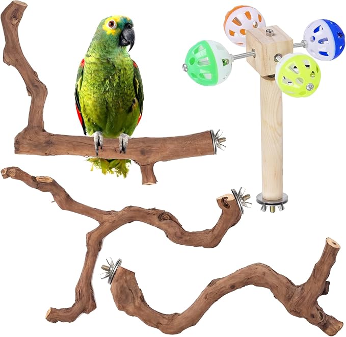 4-Piece Bird Perch Set with Rotating Ball Stand - Natural Wood Bird Gym &amp; Playground for Parrots, Cockatiels, Budgies