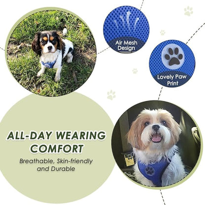 SlowTon Dog Seat Belt Harness for Car, Dog Car Harness Adjustable Mesh Breathable &amp; Dog Seatbelt Safety Tether with Elastic Bungee for Small Medium Large Pets(Blue, Double Clip, S)